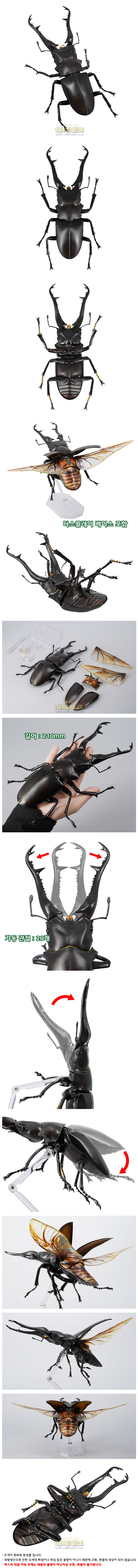 rg007p_094211.jpg rg007p_094211.jpg