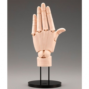 [ARTIST SUPPORT ITEM] 1:1 핸드 모델 L (왼손/페일 오렌지)