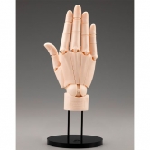 [ARTIST SUPPORT ITEM] 1:1 핸드 모델 R (오른손/페일 오렌지)