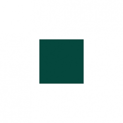 383 다크 그린 (가와니시계/반광)