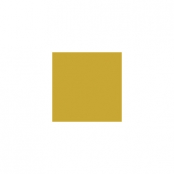 BN-04 베이스 옐로우