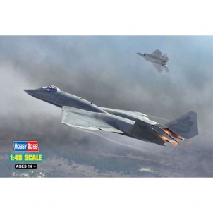 1/48 YF-23 Prototype