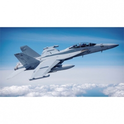 1/48 EA-18G Growler