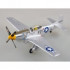 1/48 P-51D G.T EAGLESTON