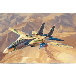 1/48 Persian Cat F-14A Tomcat - IRIAF