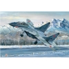 1/32 Russian MIG-29UB Fulcrum