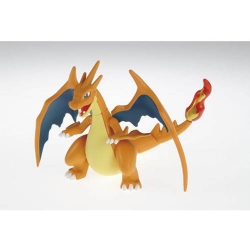 [포켓프라 38] 메가리자몽Y