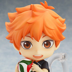 461 하이큐!! - 히나타 쇼요