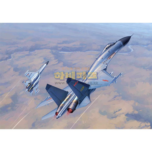 1/72 Chinese J-11B