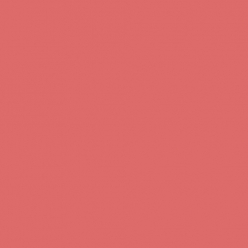 SG-10 MS 샤아 핑크