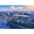 1/32 미 해군 F-14D 슈퍼 톰캣 가변익 전투기 - 1/32 F-14D Super Tomcat
