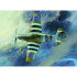 1/32 RAF Mustang III (P-51B/C)