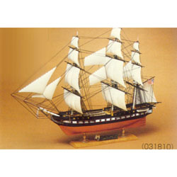 #5 1/120 CONSTITUTION