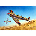 1/24 SPITFIRE Mk.Vb / TROP
