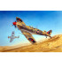 1/24 SPITFIRE Mk.Vb / TROP