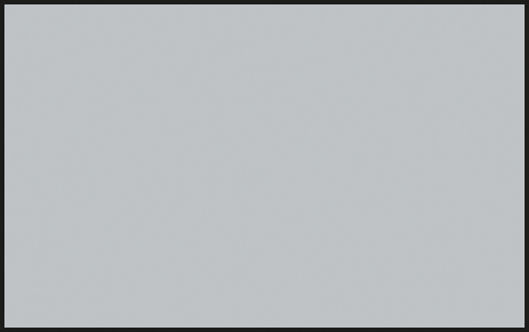 S-11 LIGHT GULL GRAY