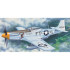 1/24 미 공군 P-51D 머스탱 전투기 - 1/24 P-51D MUSTANG