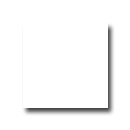 156 SUPER WHITE(유광)