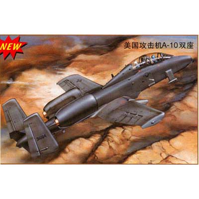 1/32 A-10A (복좌형)